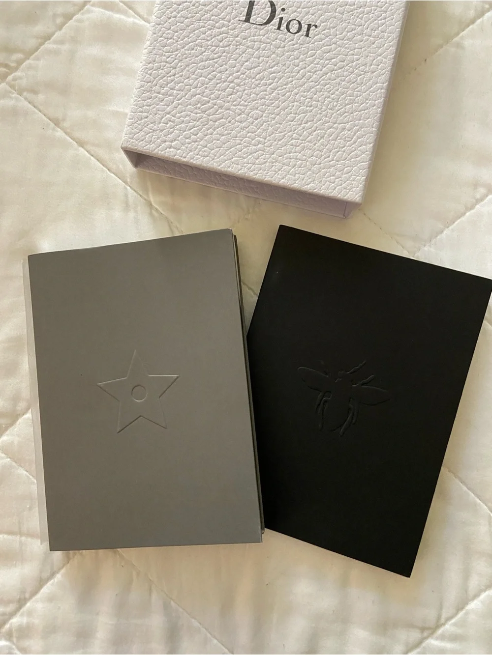 Dior Notebooks (2) in a white textured Dior box